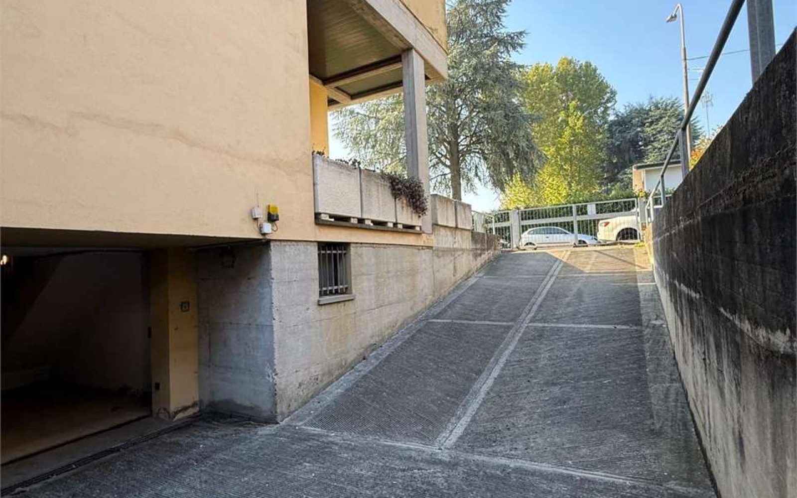 imm_11739-20250930183334-1280